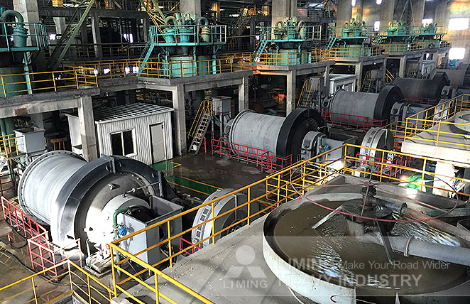 2000tpd gold ore upgrading project in China